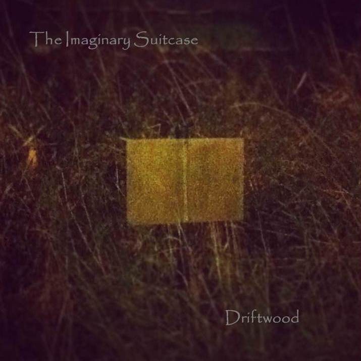 The-Imaginary-Suitcase-Driftwood-artwork.jpg